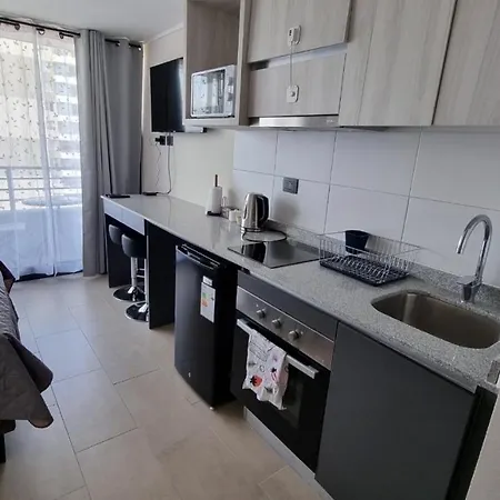 Departamento Full Equipado Y Comodo